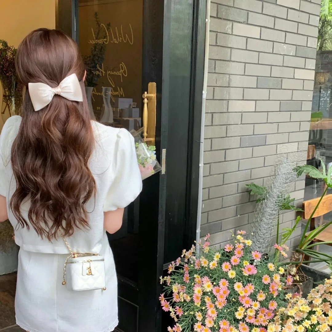 凤皇传